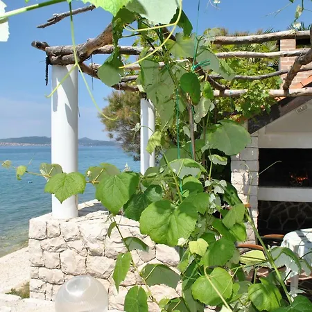 Apartment Cinthija Bibinje